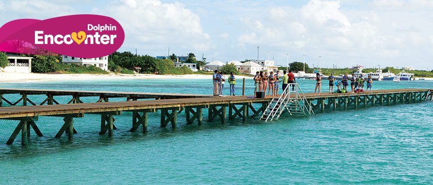 Dolphin Discovery Anguila