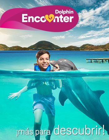 Dolphin Discovery Anguila