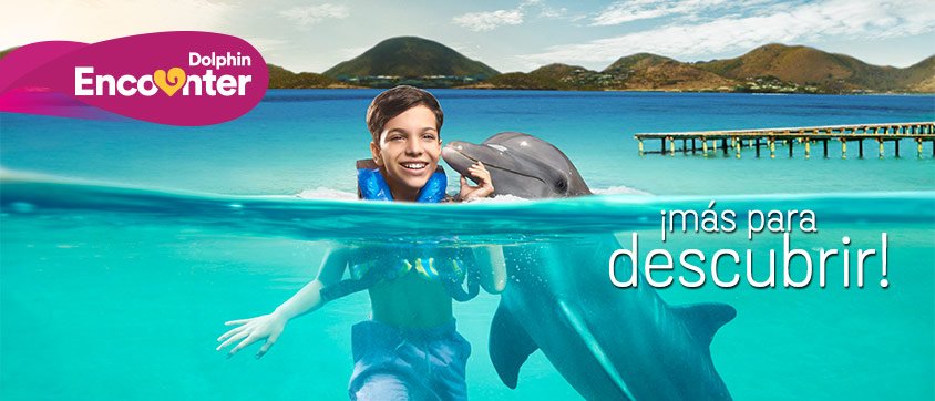 Dolphin Discovery Anguila
