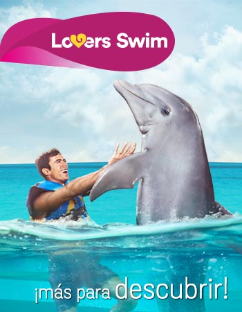 Dolphin Discovery Cove Caimán