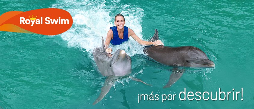 Dolphin Discovery Cove Caimán