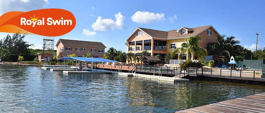 Dolphin Discovery Cove Caimán