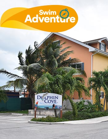 Dolphin Discovery Cove Caimán