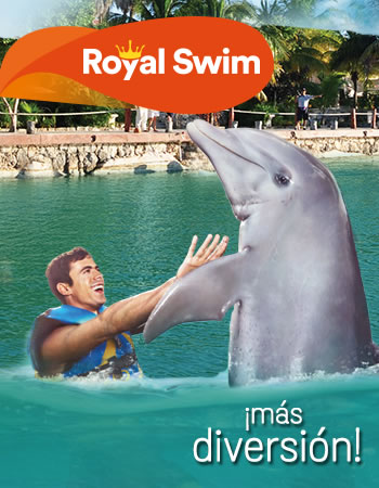 Dolphin Discovery Dreams Puerto Aventuras