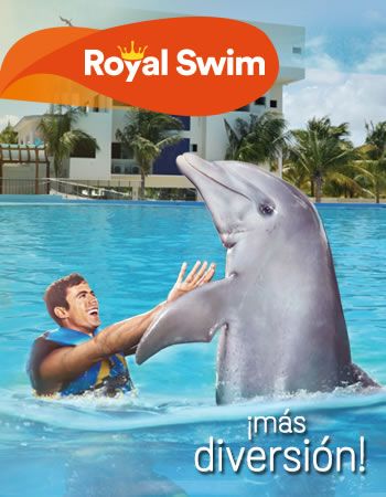Royal Swim