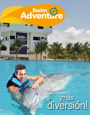 Swim Adventure