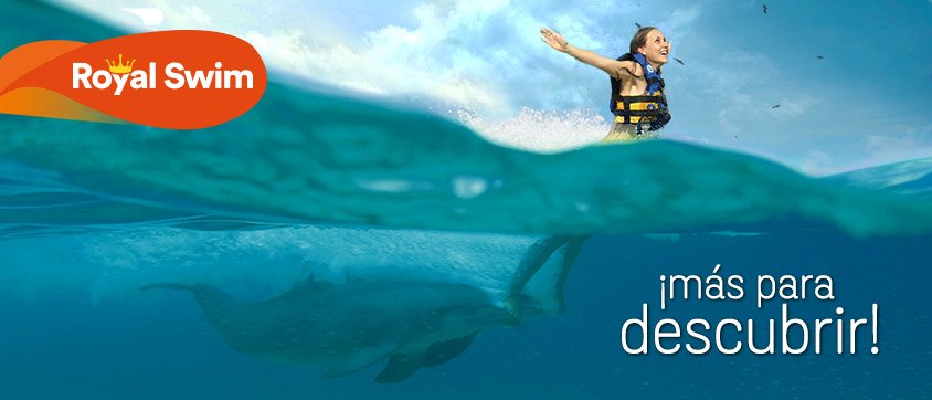 Dolphin Discovery Gran Caimán