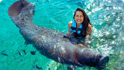 Encuentro con Manatíes Encuentro con Manatíes