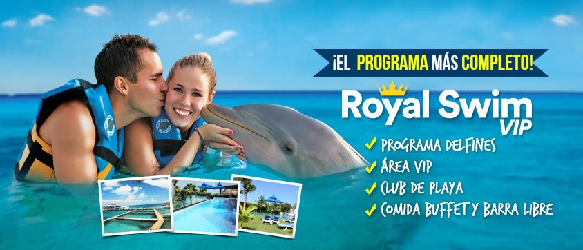 Dolphin Royal Swim VIP en Isla Mujeres, Cancún