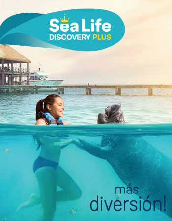 Sea Life Discovery Plus Program