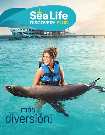 Sea Life Discovery Plus Program