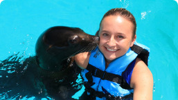 Sea Lion Discovery 