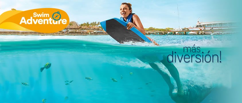 Dolphin Swim Adventure