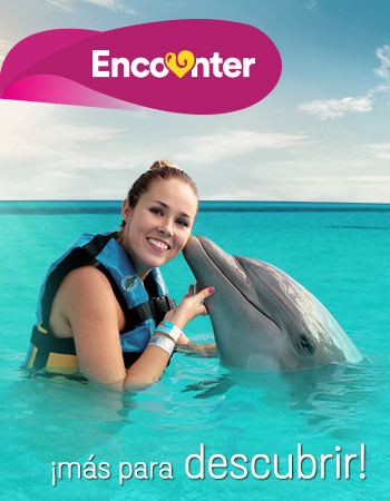 Dolphin Discovery Montego Bay