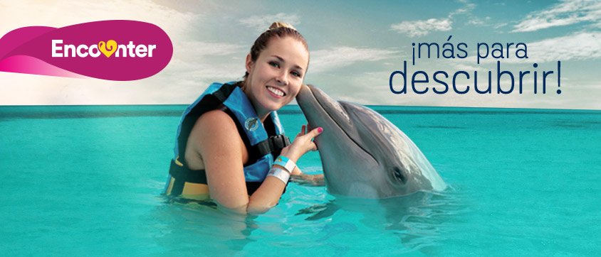Dolphin Discovery Montego Bay