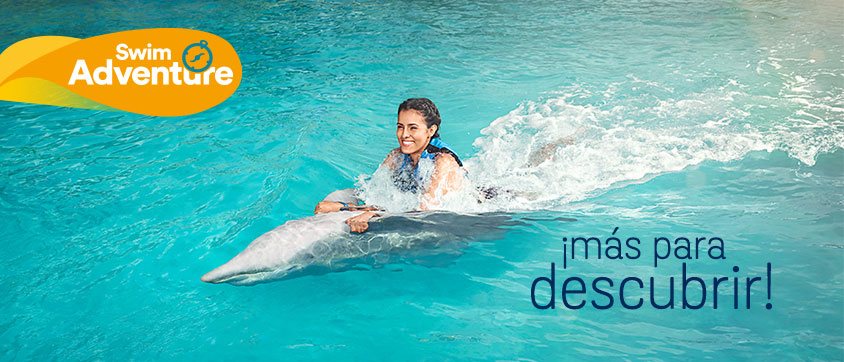 Dolphin Discovery Montego Bay