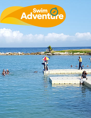 Dolphin Discovery Montego Bay
