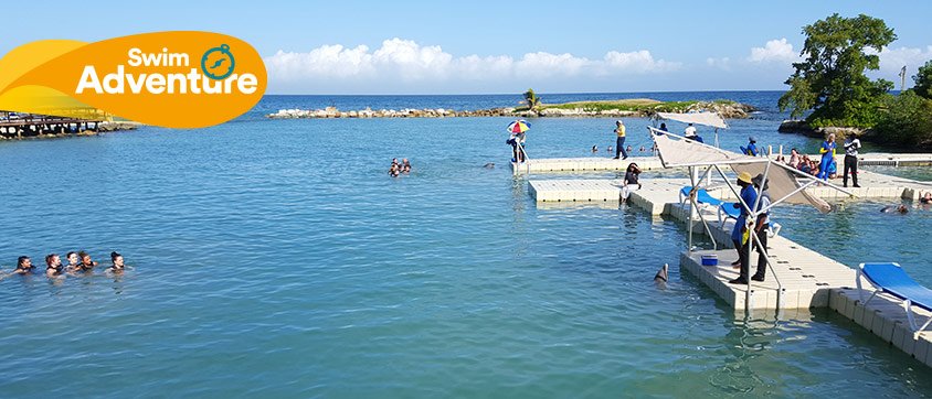 Dolphin Discovery Montego Bay