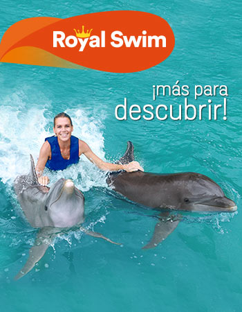 Dolphin Discovery Montego Bay