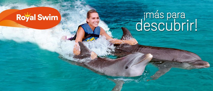 Dolphin Discovery Montego Bay