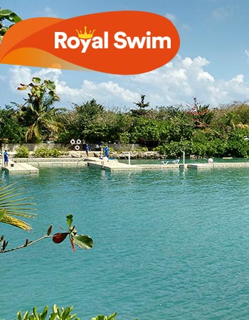 Dolphin Discovery Montego Bay
