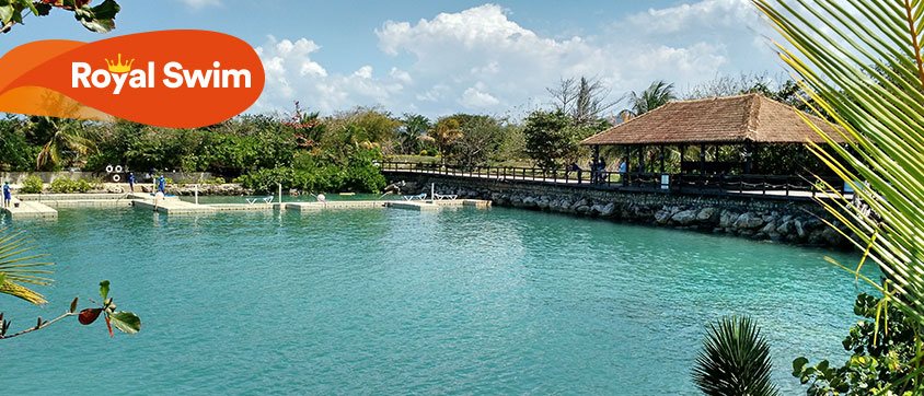 Dolphin Discovery Montego Bay