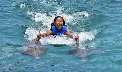 Dolphin Royal Swim 