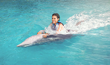 Dolphin Swim Adventure 