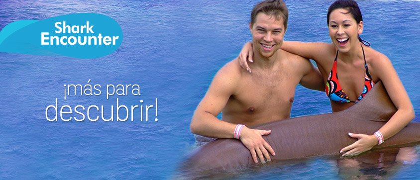 Dolphin Discovery Ocho Rios
