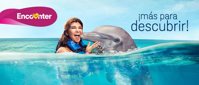 Dolphin Discovery Jamaica Grande