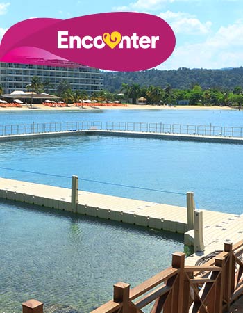 Dolphin Discovery Jamaica Grande