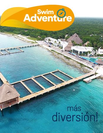 Dolphin Discovery Jamaica Grande