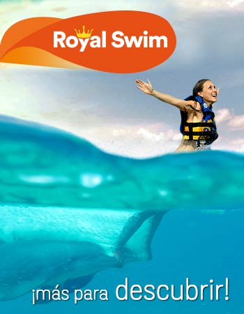 Dolphin Discovery Jamaica Grande