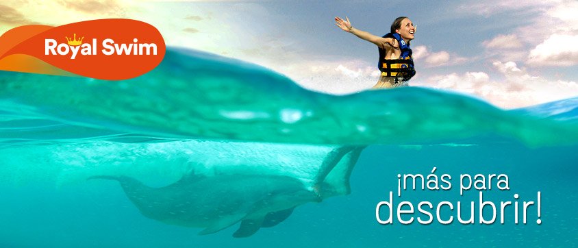 Dolphin Discovery Saint Kitts