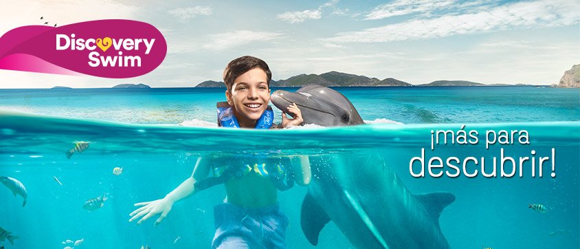 Dolphin Discovery Tortola