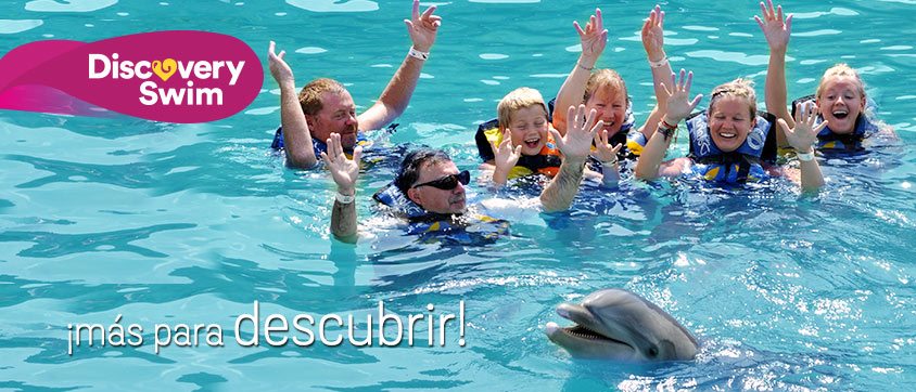 Dolphin Discovery Tortola