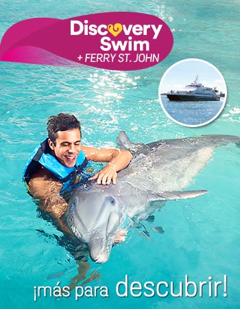 Dolphin Discovery Tortola