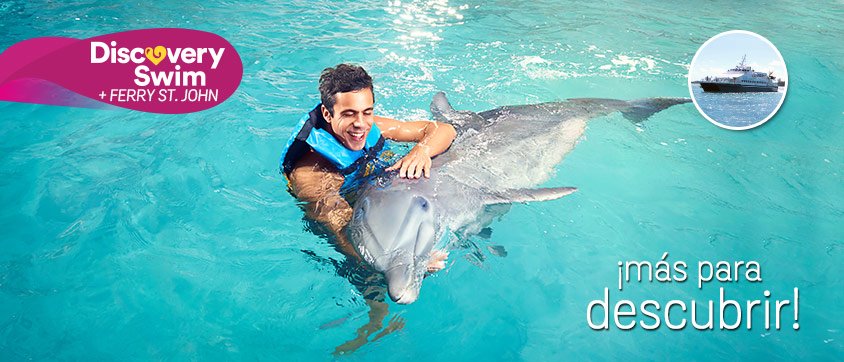 Dolphin Discovery Tortola