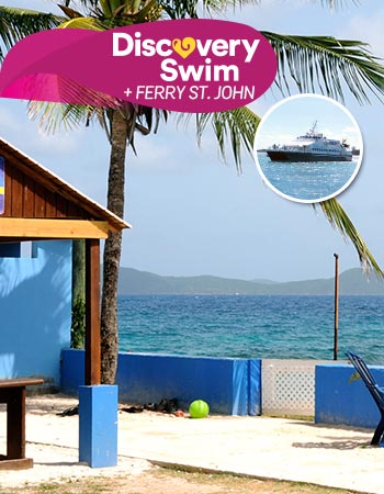 Dolphin Discovery Tortola