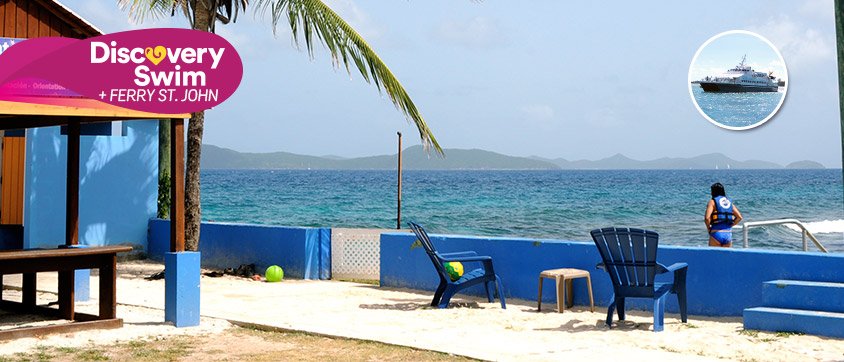 Dolphin Discovery Tortola