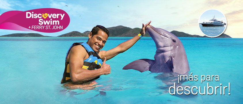 Dolphin Discovery Tortola