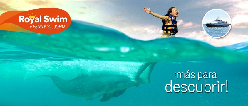 Dolphin Discovery Tortola
