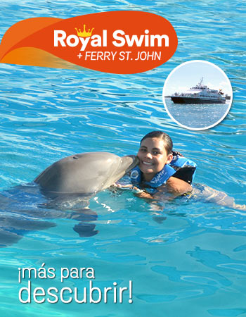 Dolphin Discovery Tortola
