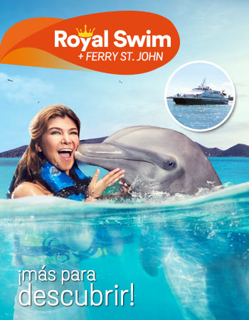 Dolphin Discovery Tortola