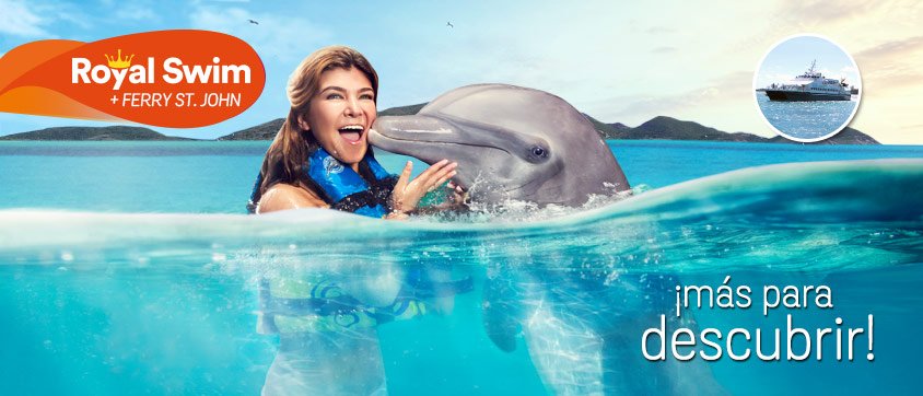 Dolphin Discovery Tortola