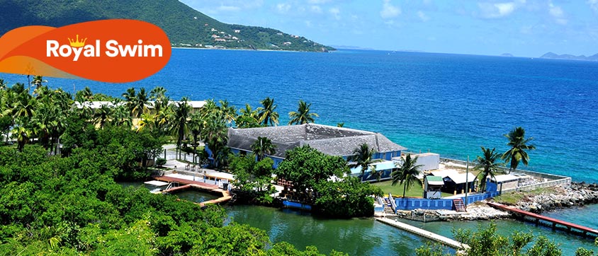 Dolphin Discovery Tortola