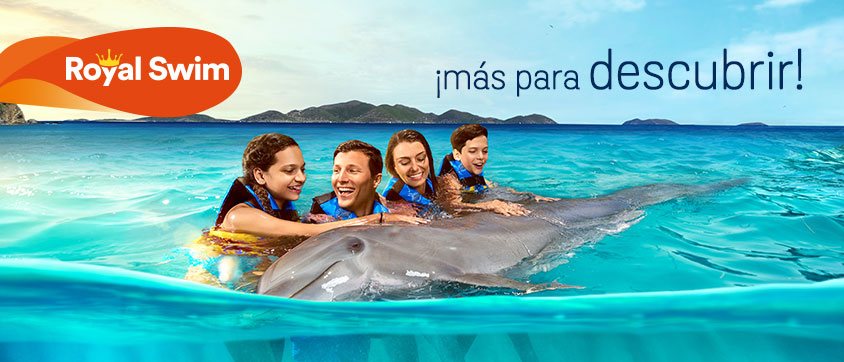 Dolphin Discovery Tortola