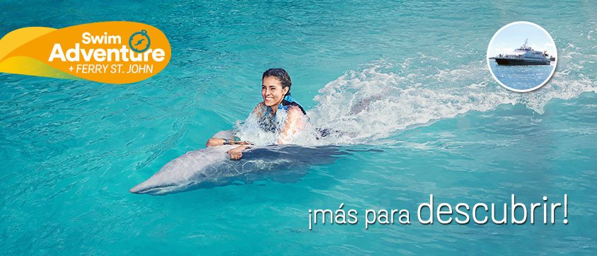Dolphin Discovery Tortola