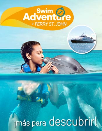 Dolphin Discovery Tortola