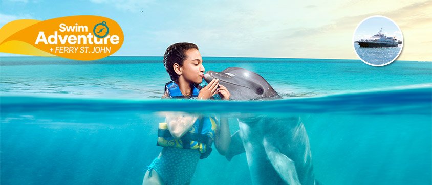Dolphin Discovery Tortola